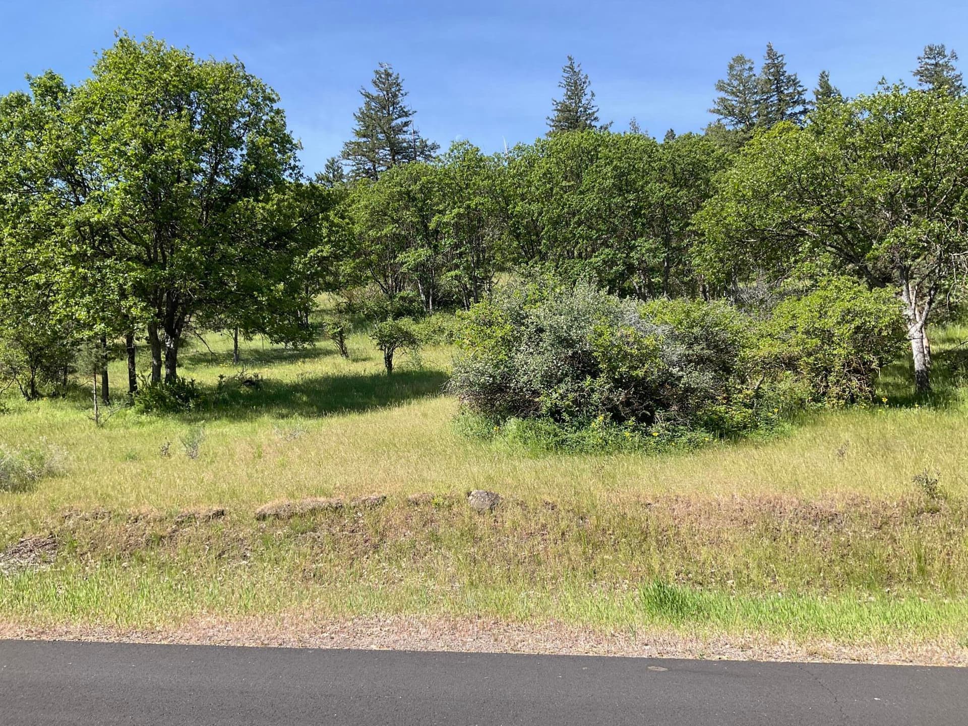 IMG_1738. Photo 3 of 6, 0 Coopers Hawk Road Unit Lot 860, Klamath Falls, OR 97601