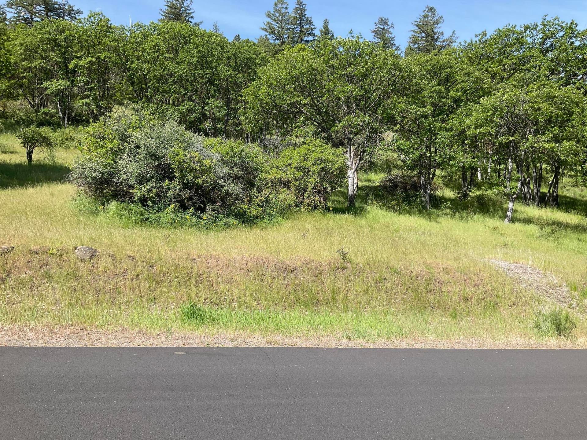 IMG_1739. Photo 4 of 6, 0 Coopers Hawk Road Unit Lot 860, Klamath Falls, OR 97601