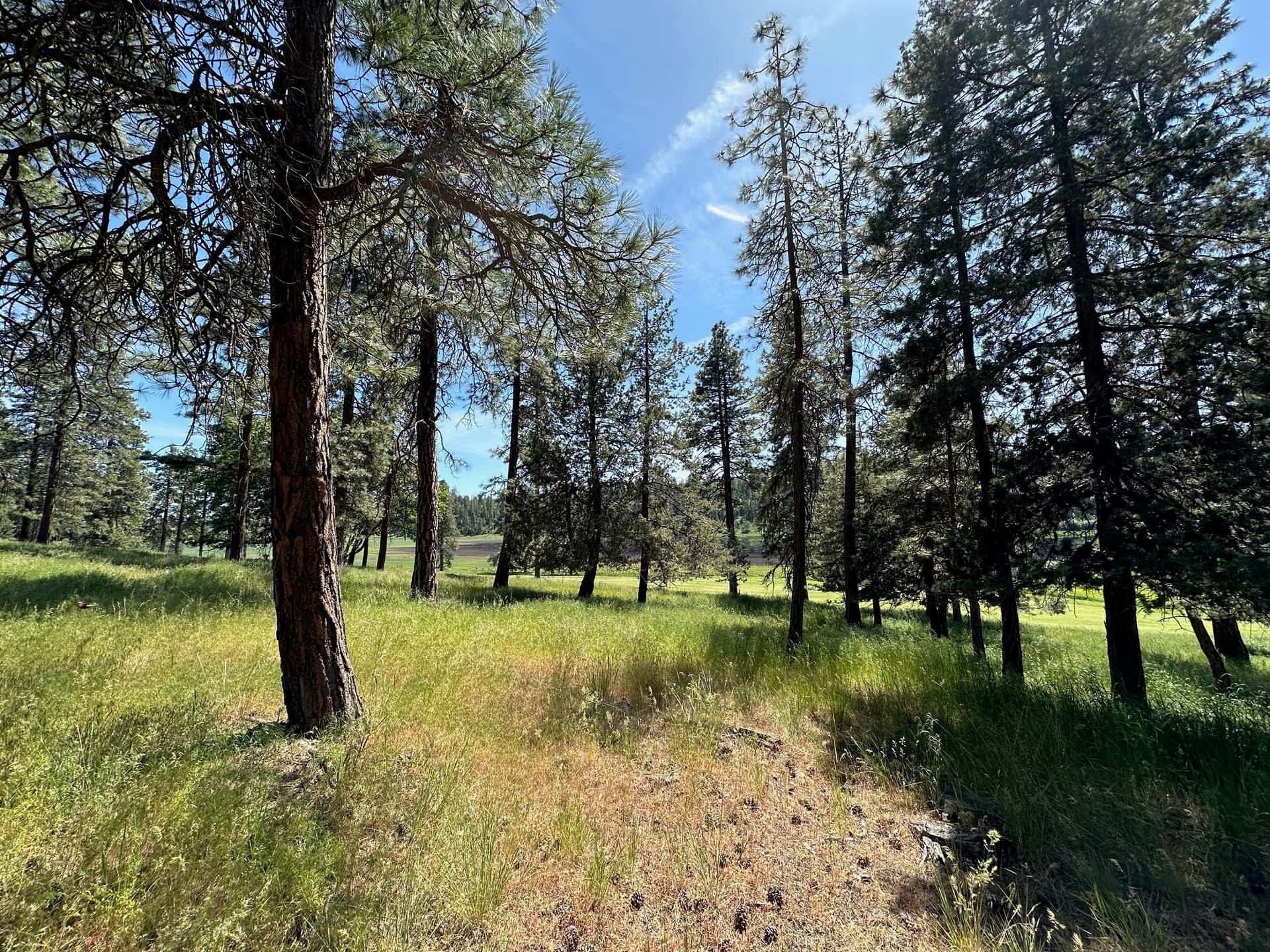 IMG_8713. Photo 3 of 15, Merganser Road Unit 107, Klamath Falls, OR 97601