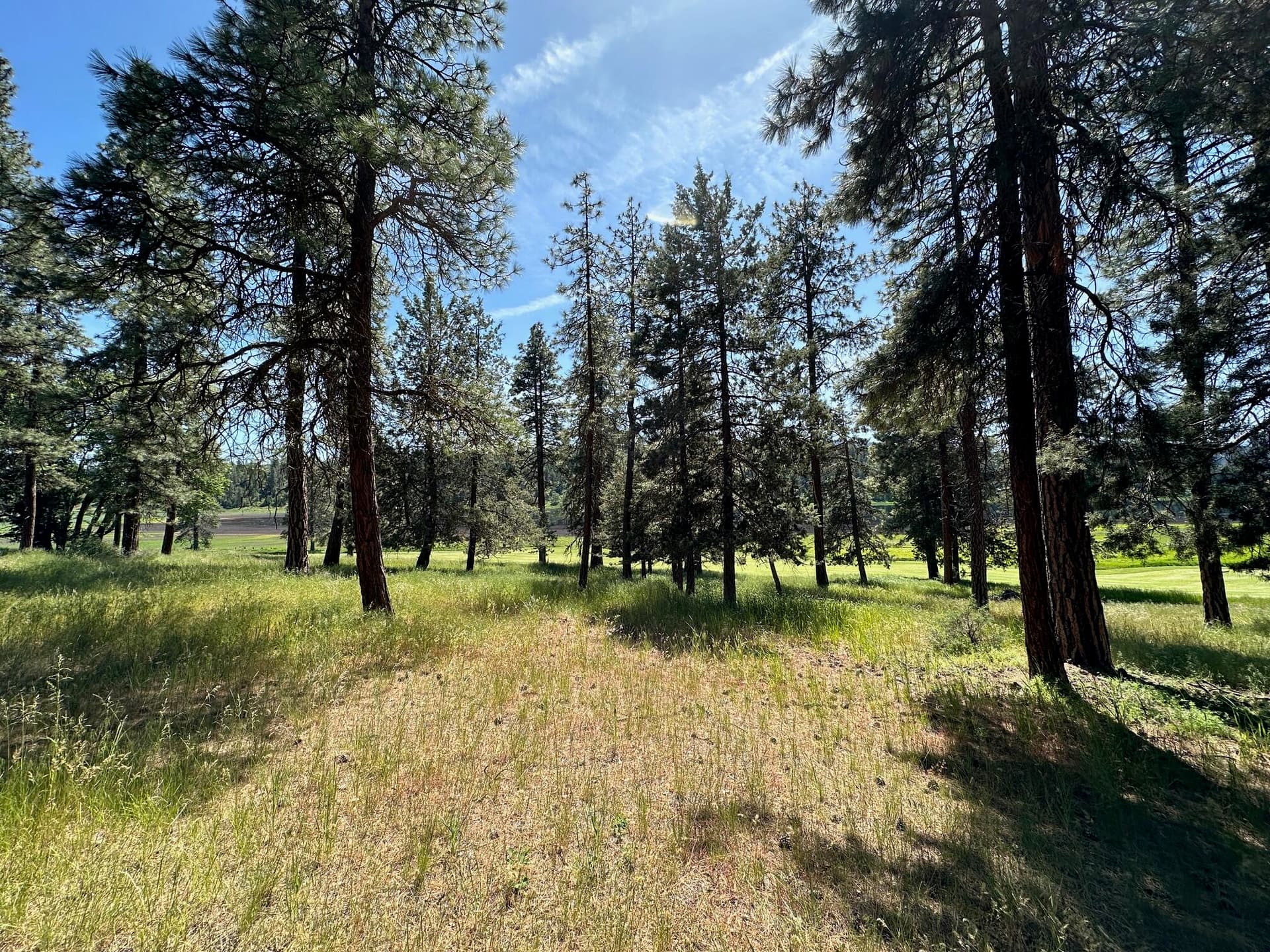 IMG_8711. Photo 2 of 15, Merganser Road Unit 107, Klamath Falls, OR 97601
