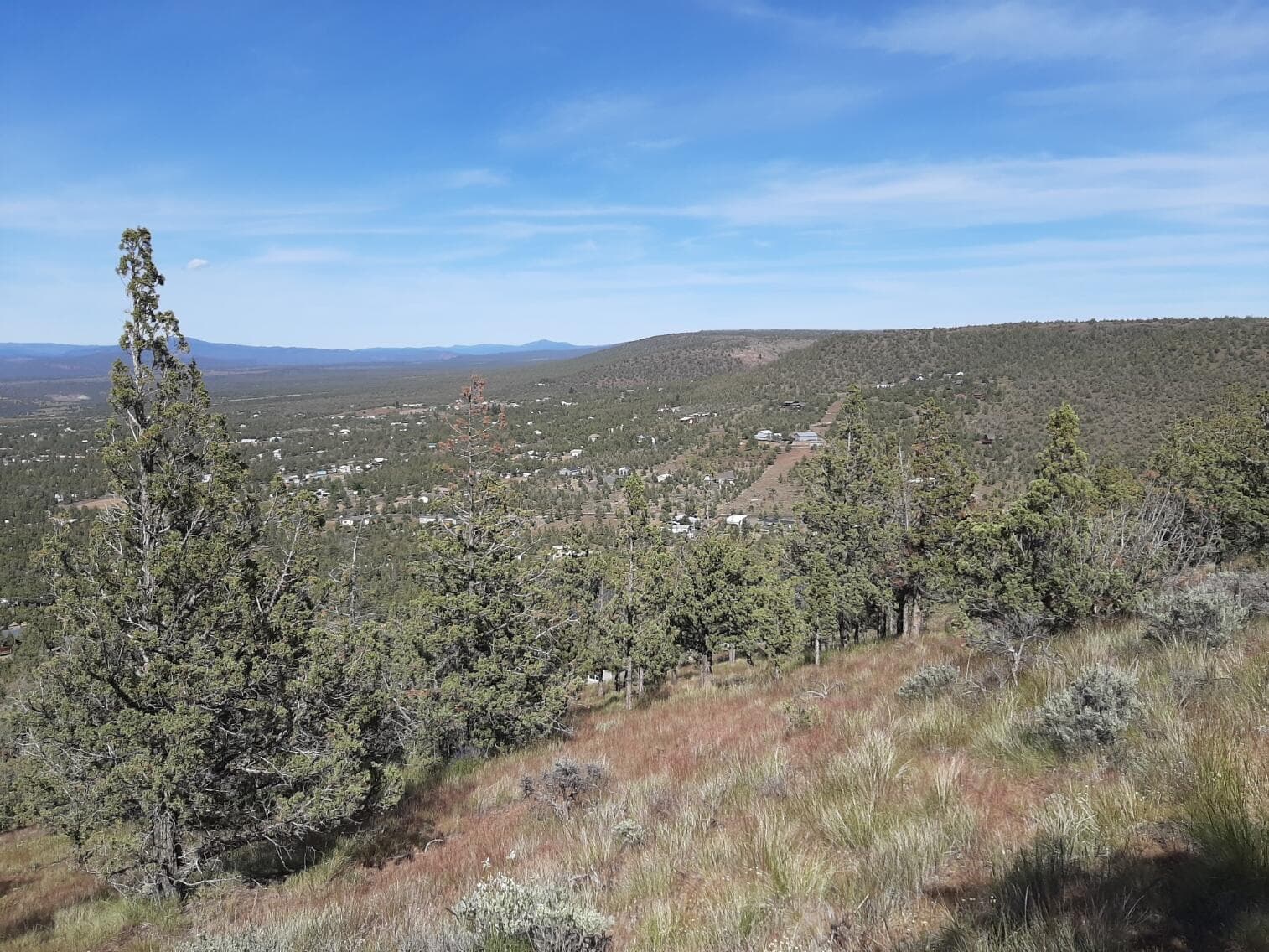 5. Photo 5 of 35, SE Night Hawk Court, Prineville, OR 97754