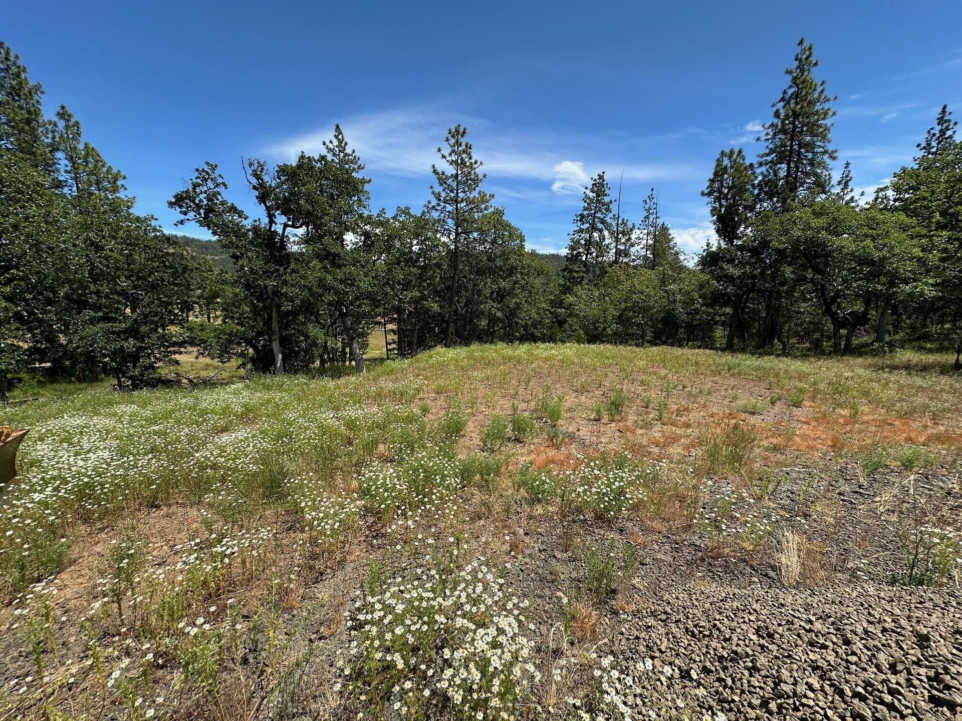 1. Photo 1 of 7, 551 Hudspeth Lane, Shady Cove, OR 97539