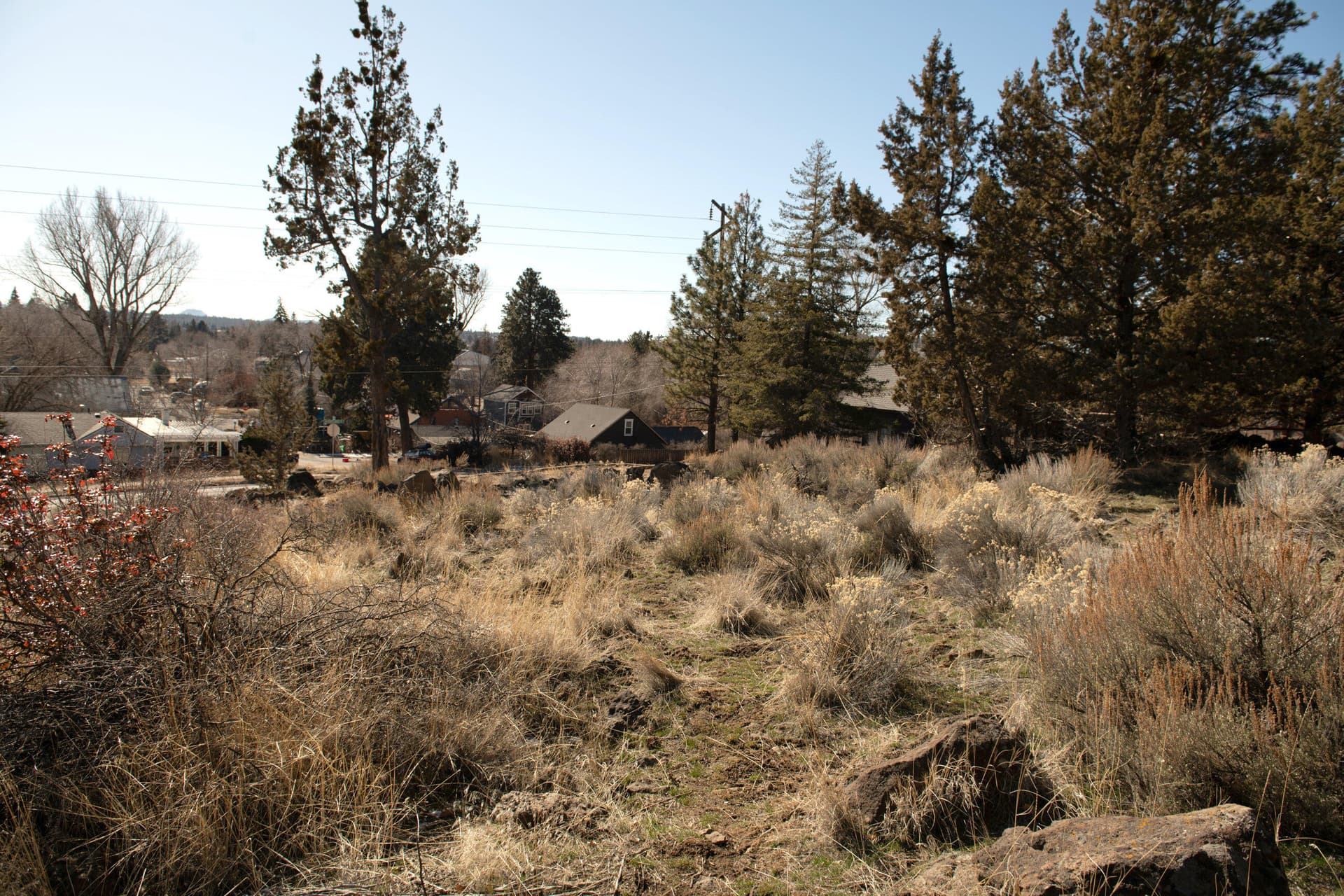 DSC_4225. Photo 4 of 13, 644 NW Portland Avenue, Bend, OR 97703