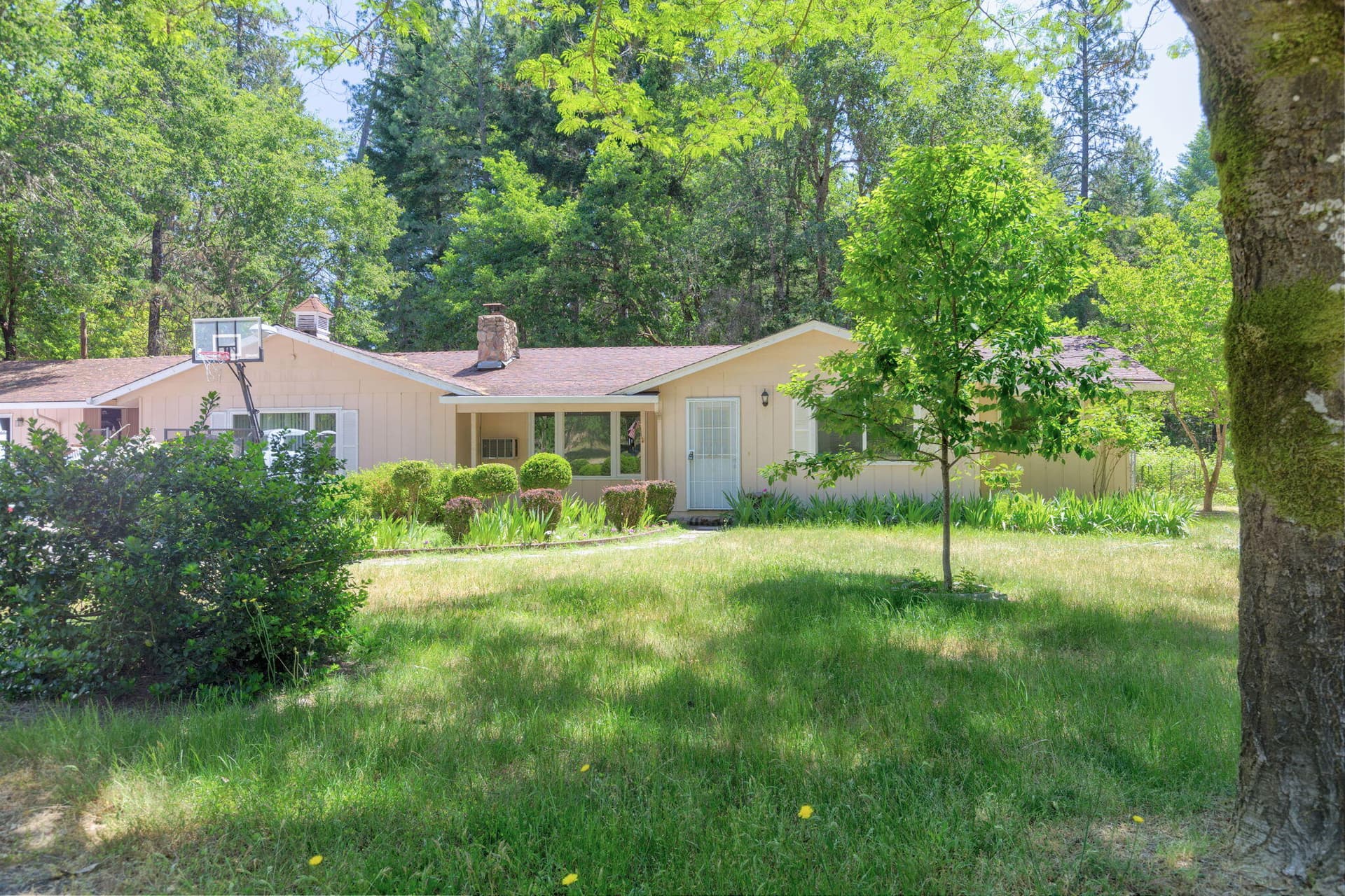 0-web-or-mls-505-peco-rd. Photo 3 of 45, 505 Peco Road, Grants Pass, OR 97526