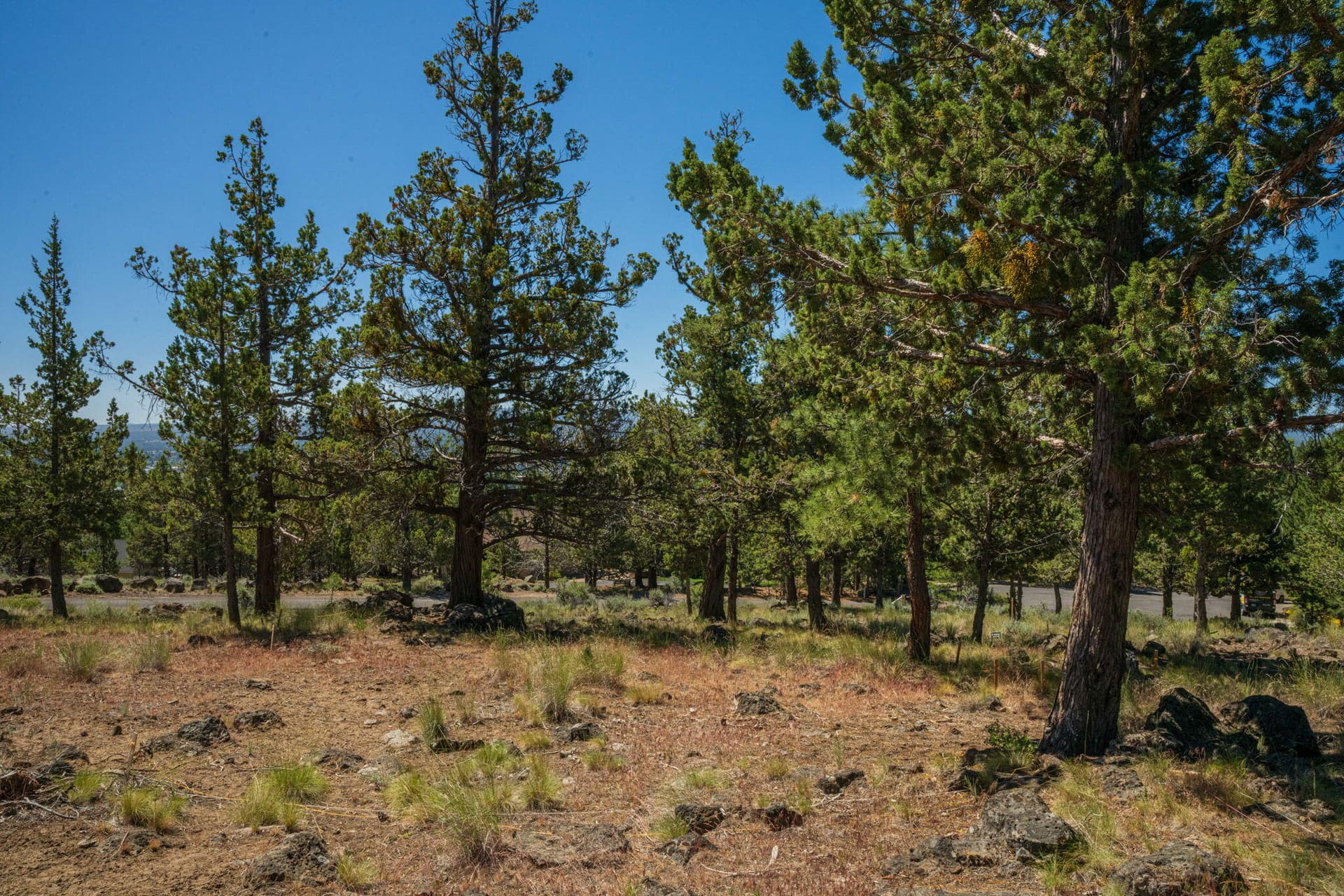 2616 NW Gill Ct. Photo 1 of 5, 2616 NW Gill Court, Bend, OR 97703