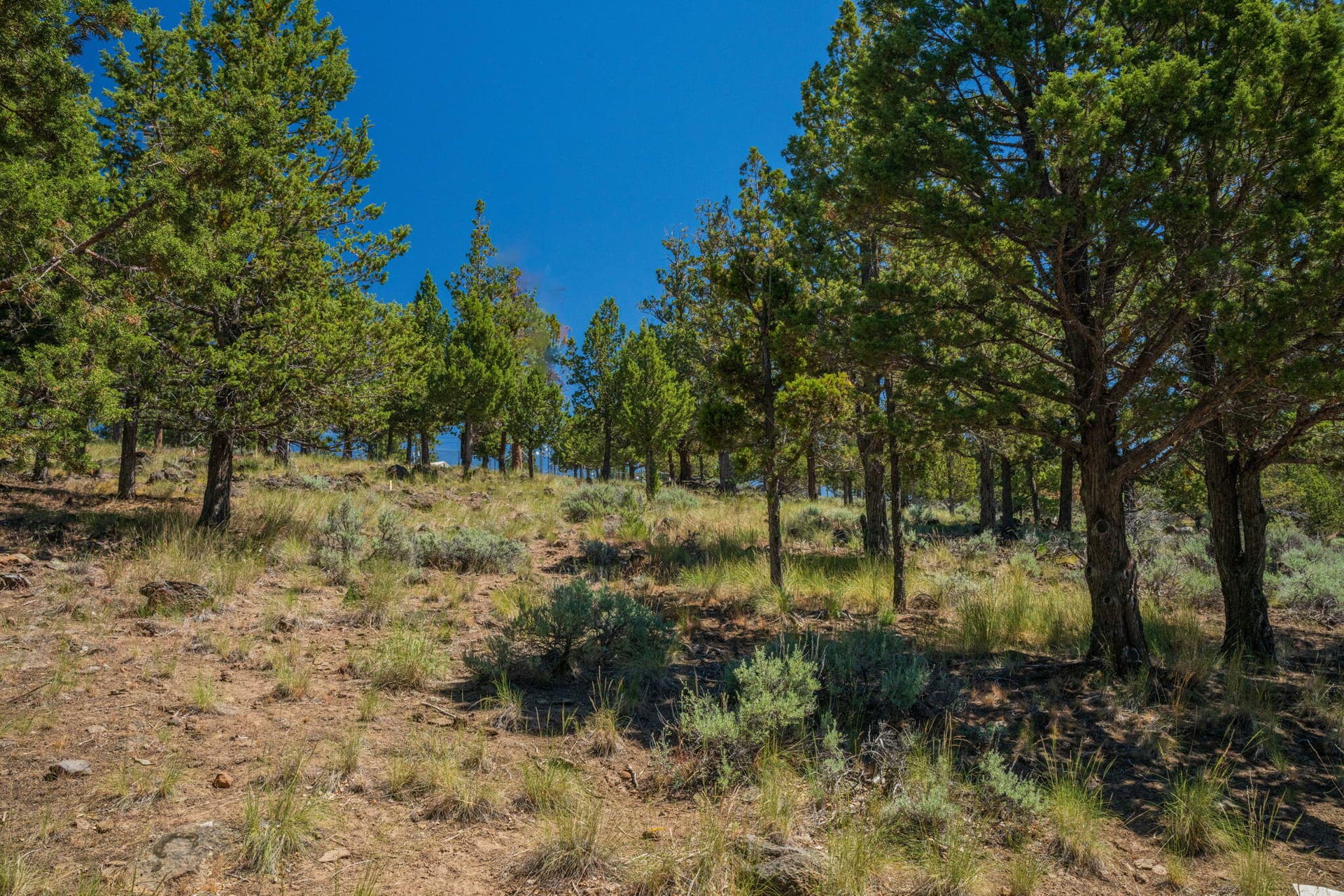 2616 NW Gill Ct.Gill Ct. Photo 2 of 5, 2616 NW Gill Court, Bend, OR 97703