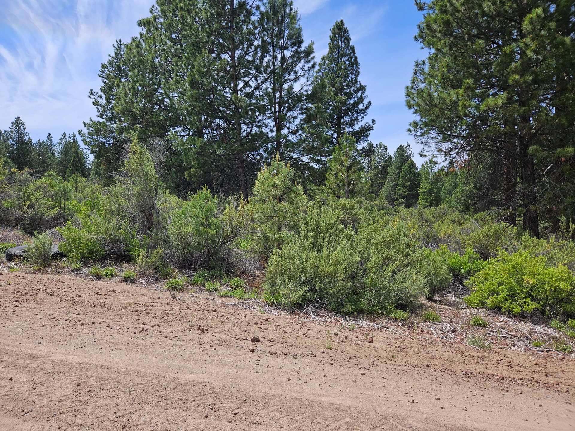 20240614_140635. Photo 3 of 5, 00 Pine Ridge Loop Unit Lot 7, Chiloquin, OR 97624