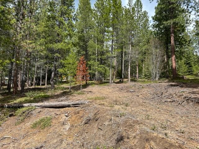 vacant land. Photo 1 of 6, 43 Clear Spring Way Unit 43, Crescent Lake, OR 97733