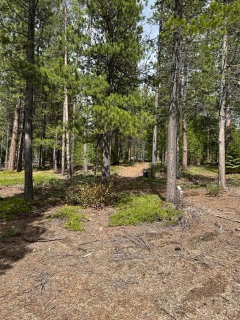 IMG_5471. Photo 2 of 6, 43 Clear Spring Way Unit 43, Crescent Lake, OR 97733