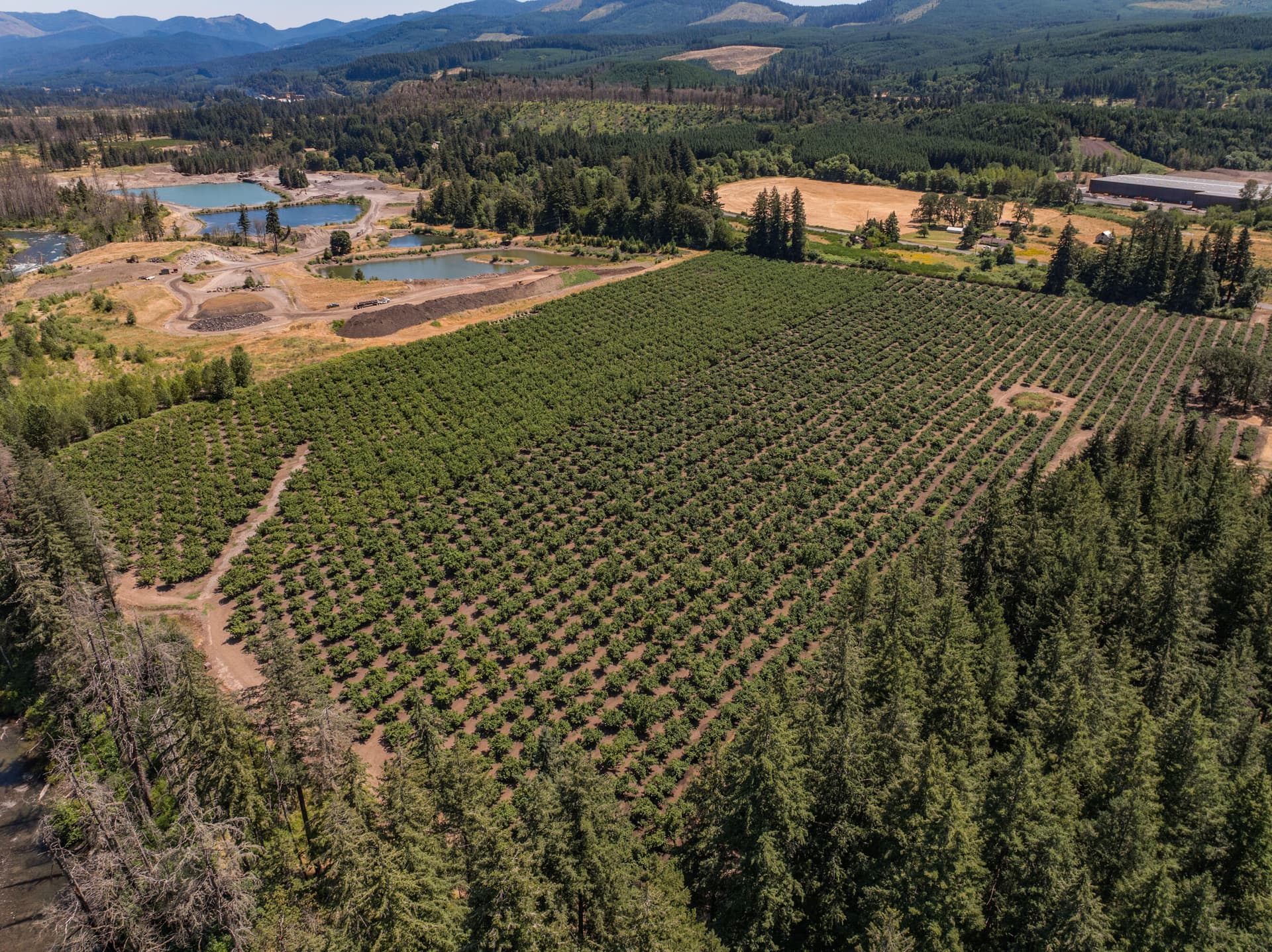 Export--4. Photo 4 of 21, 46759 E Lyons Mill City Drive, Lyons, OR 97358