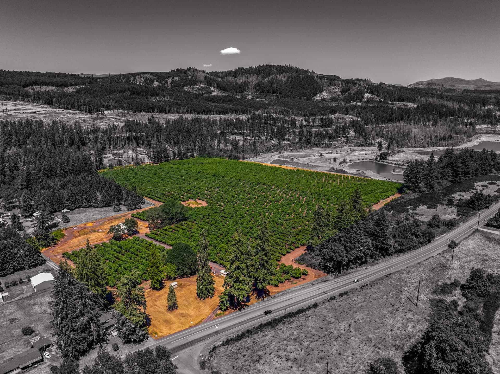 Export--14. Photo 1 of 21, 46759 E Lyons Mill City Drive, Lyons, OR 97358