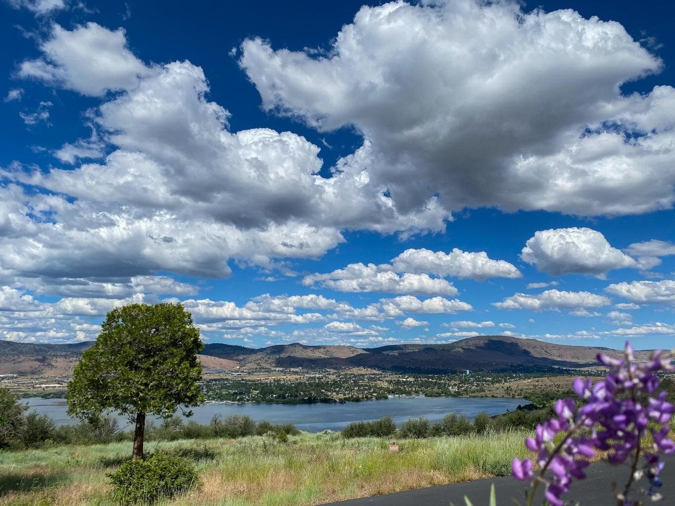 Main Photo. Photo 1 of 29, 821 Bailey Mountain Drive, Klamath Falls, OR 97601