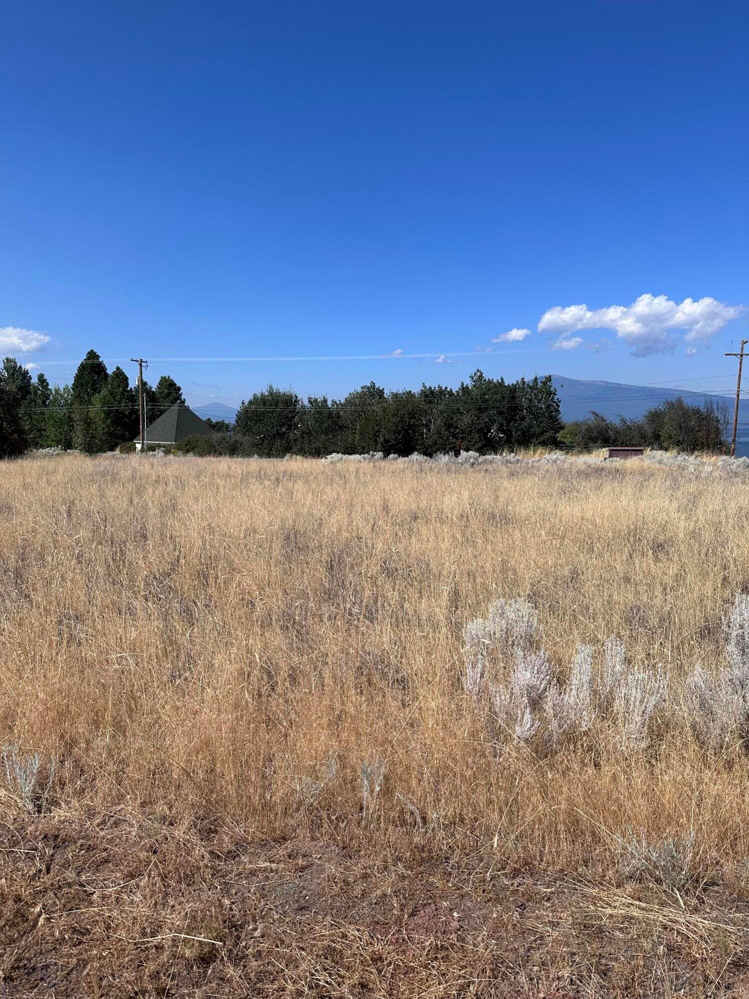 IMG_4175. Photo 2 of 8, Lots 1 & 2 Golden Meadow Road, Chiloquin, OR 97624