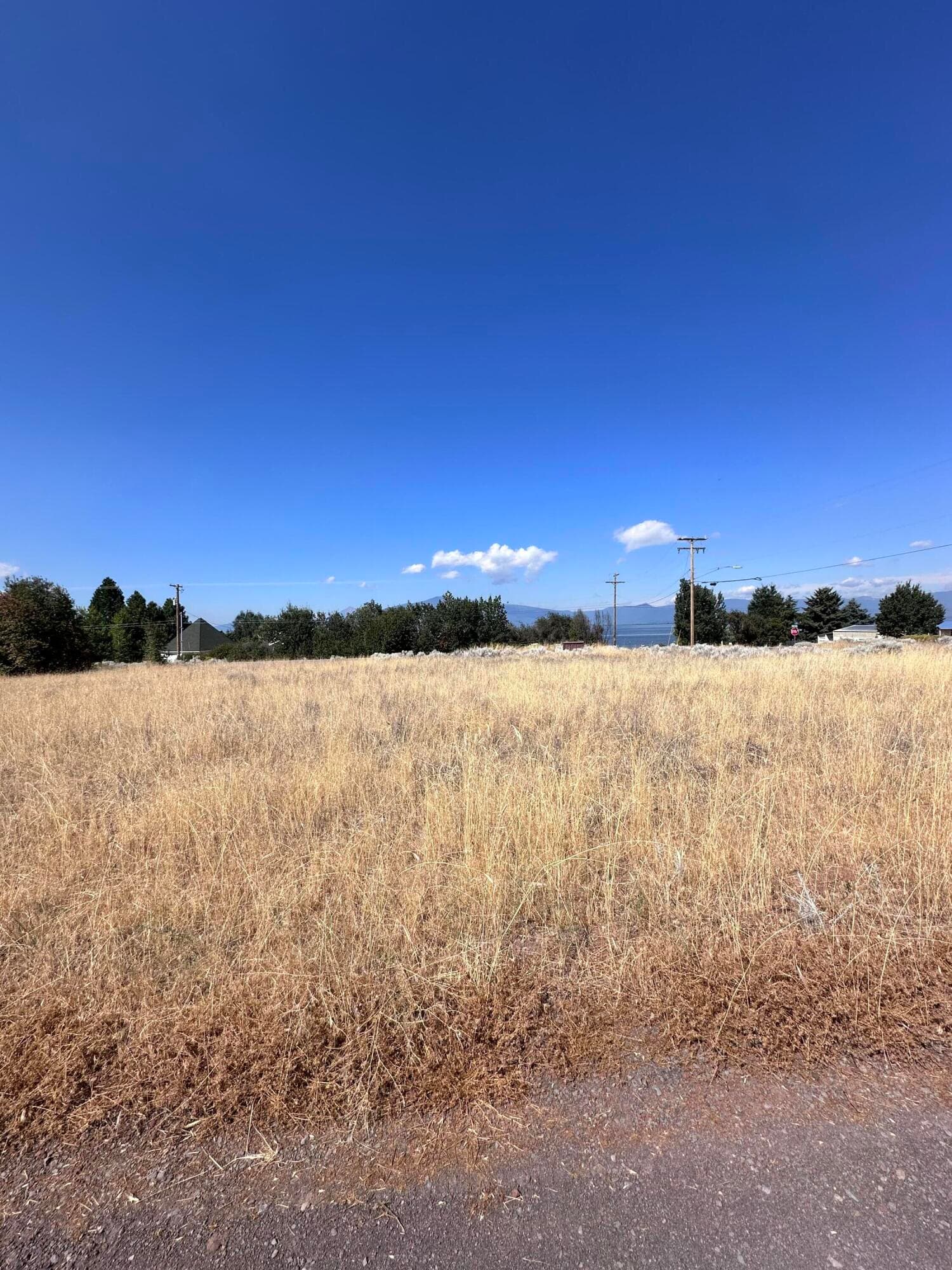 IMG_4172. Photo 5 of 8, Lots 1 & 2 Golden Meadow Road, Chiloquin, OR 97624