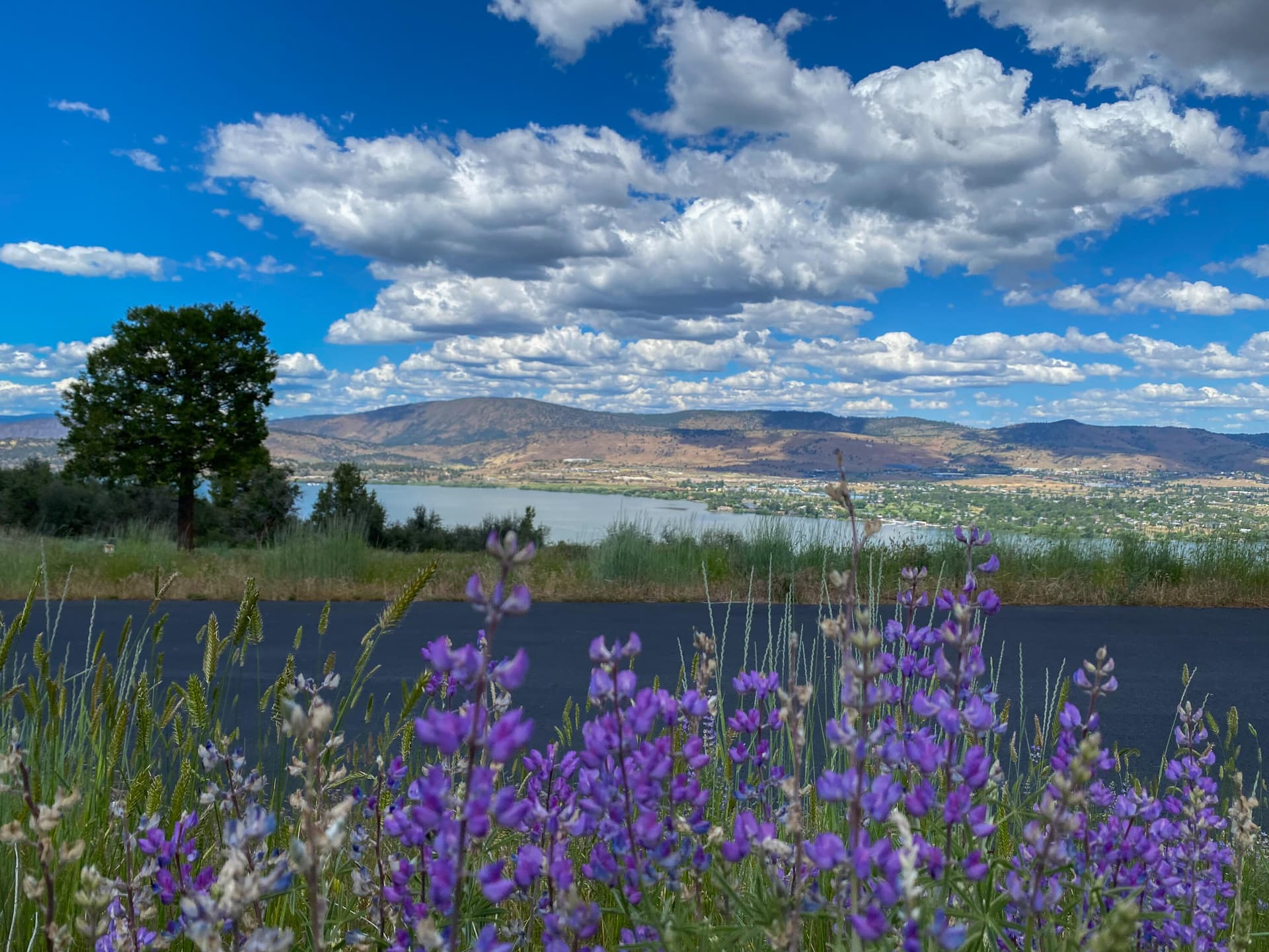 a4. Photo 4 of 29, 821 Bailey Mountain Drive, Klamath Falls, OR 97601