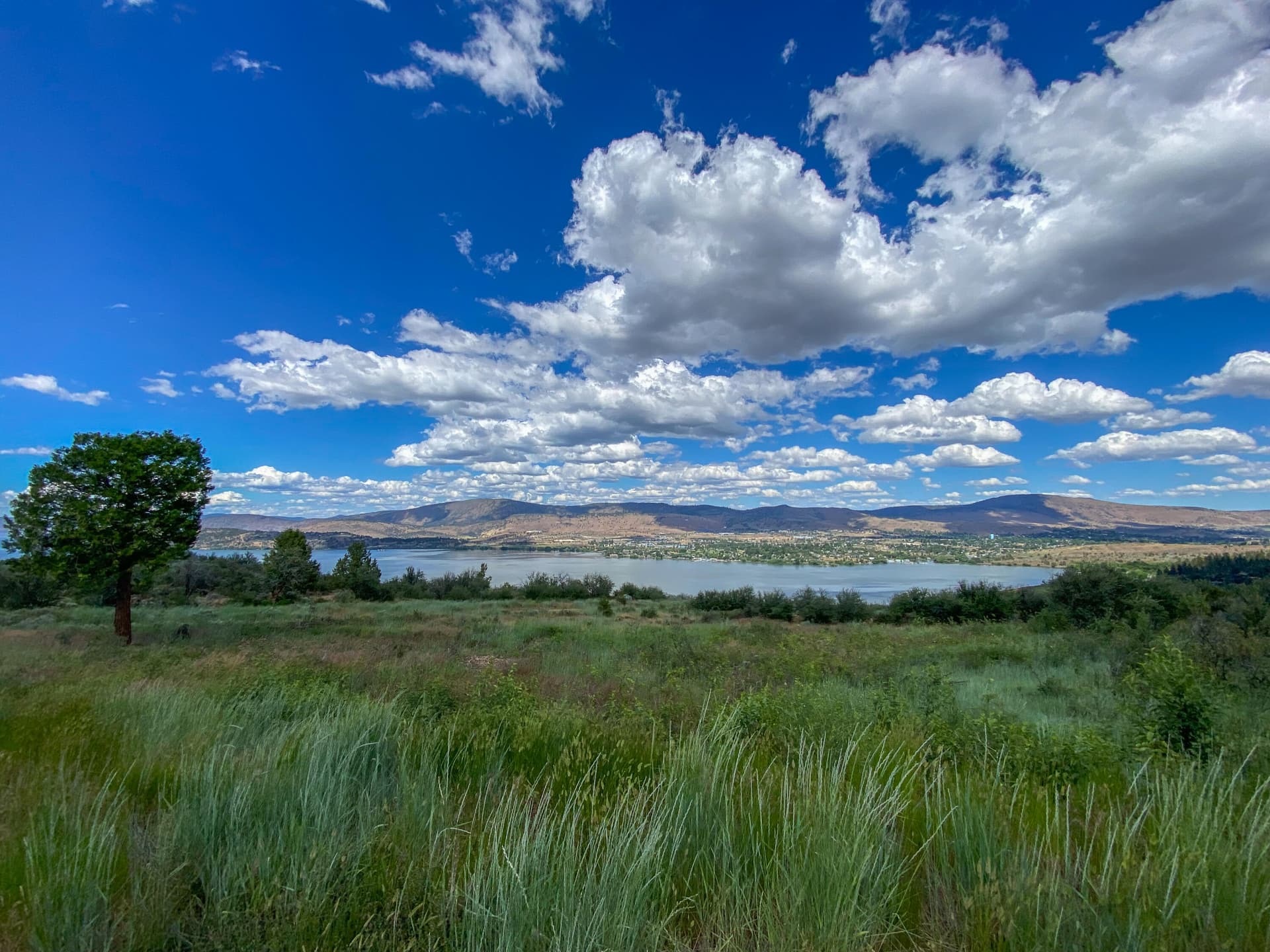 a6. Photo 5 of 29, 821 Bailey Mountain Drive, Klamath Falls, OR 97601