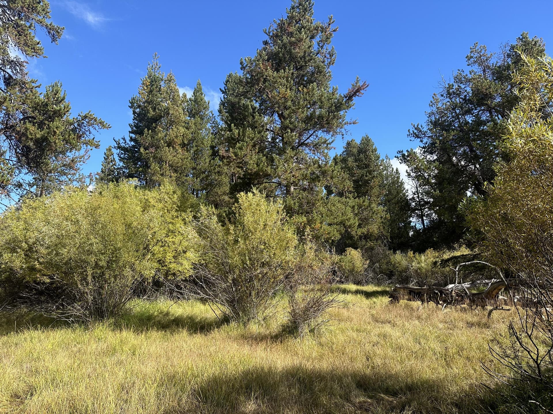 IMG_0179. Photo 5 of 11, Willow Street Unit Lot 9 Block 6, La Pine, OR 97739