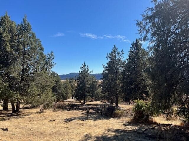 1031 -1. Photo 1 of 5, 0 Turnstone Unit Lot 1031, Klamath Falls, OR 97601