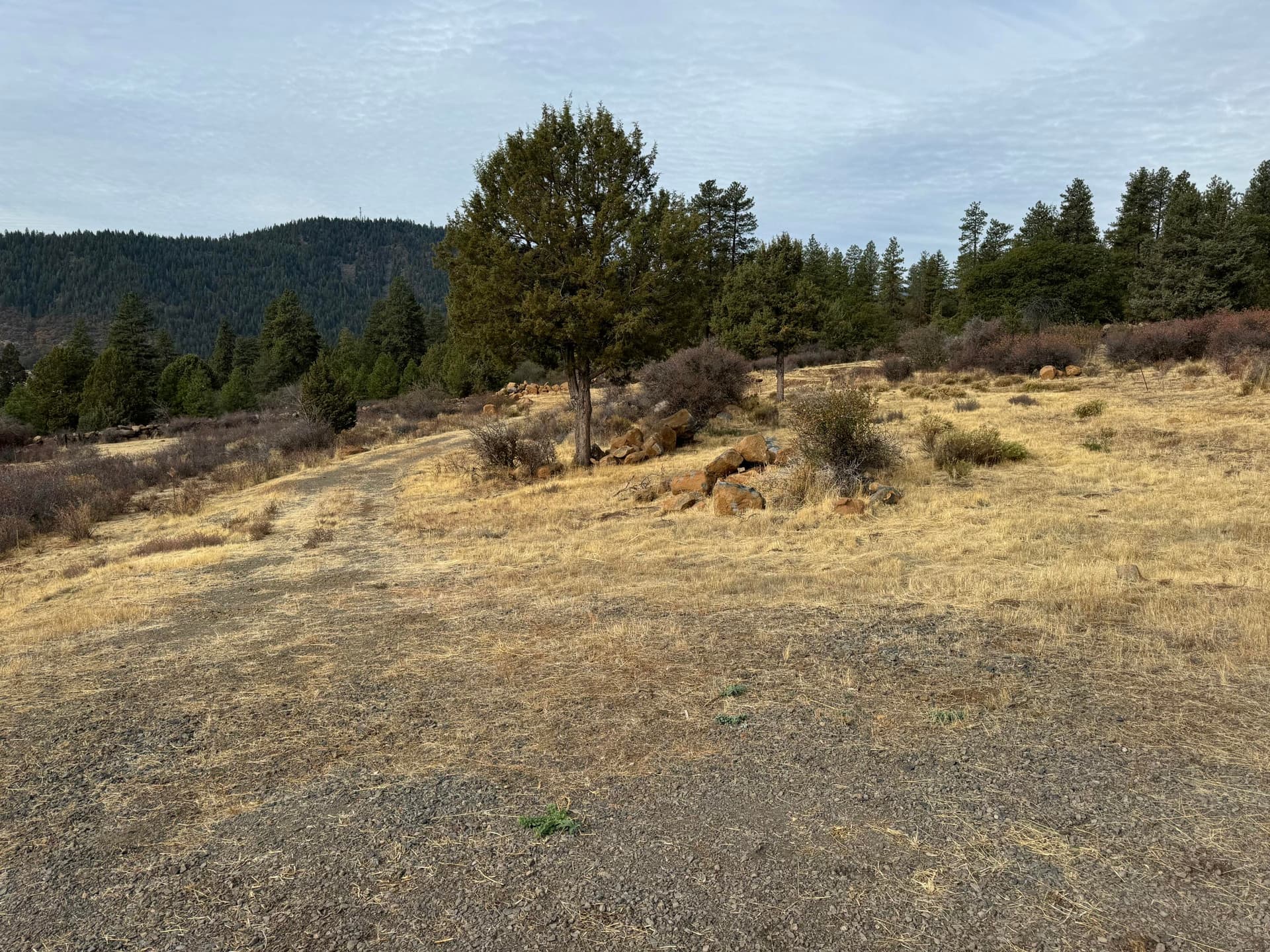 IMG_1802. Photo 3 of 6, 13096 Turnstone Drive, Klamath Falls, OR 97601