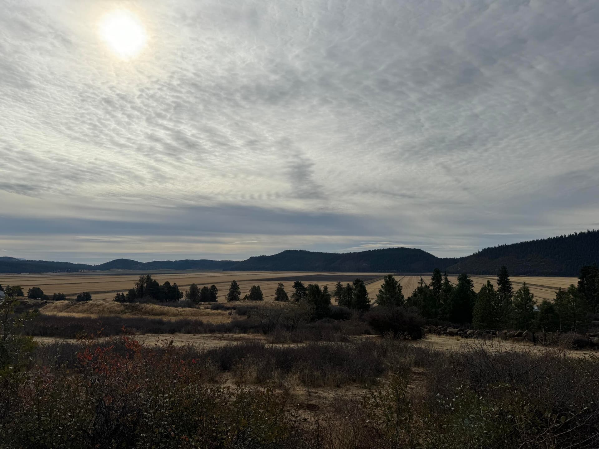 IMG_1806. Photo 1 of 6, 13096 Turnstone Drive, Klamath Falls, OR 97601