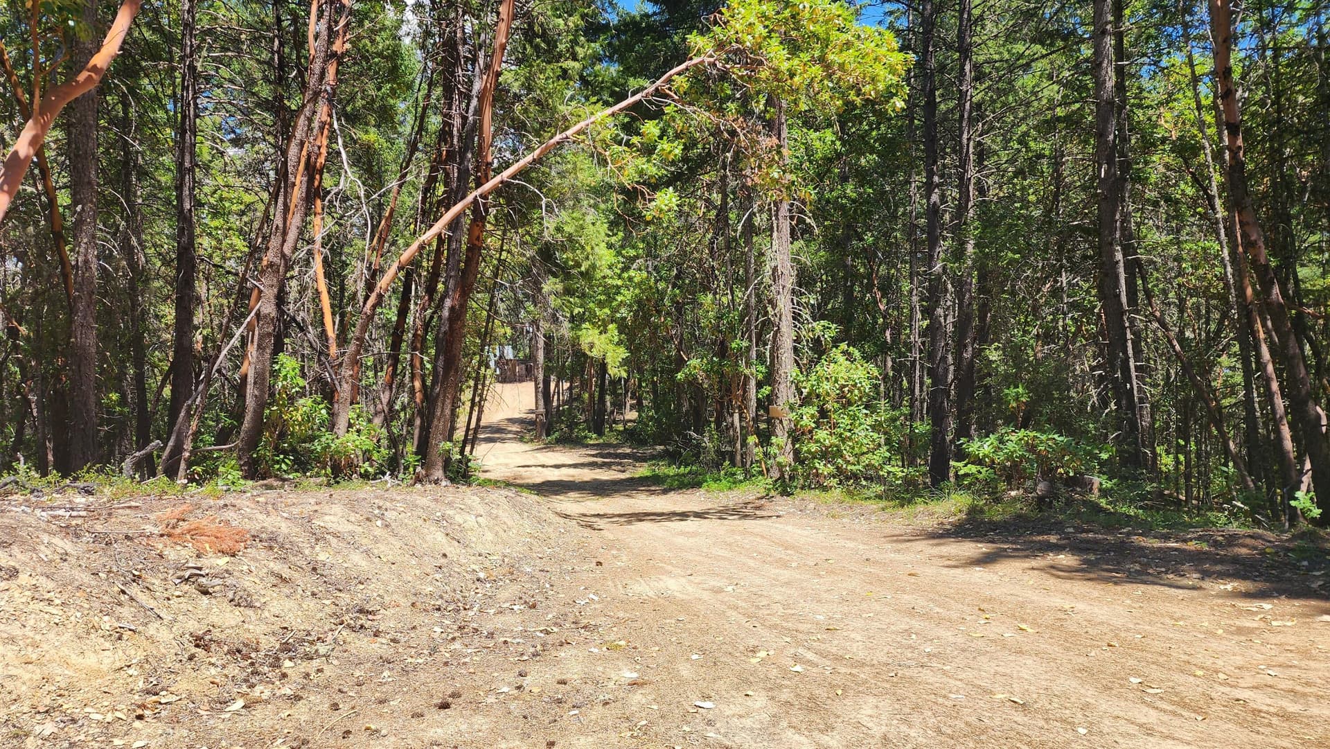 20230622_141810. Photo 4 of 10, 0 Quartz Creek Road Unit TL 500, Merlin, OR 97532