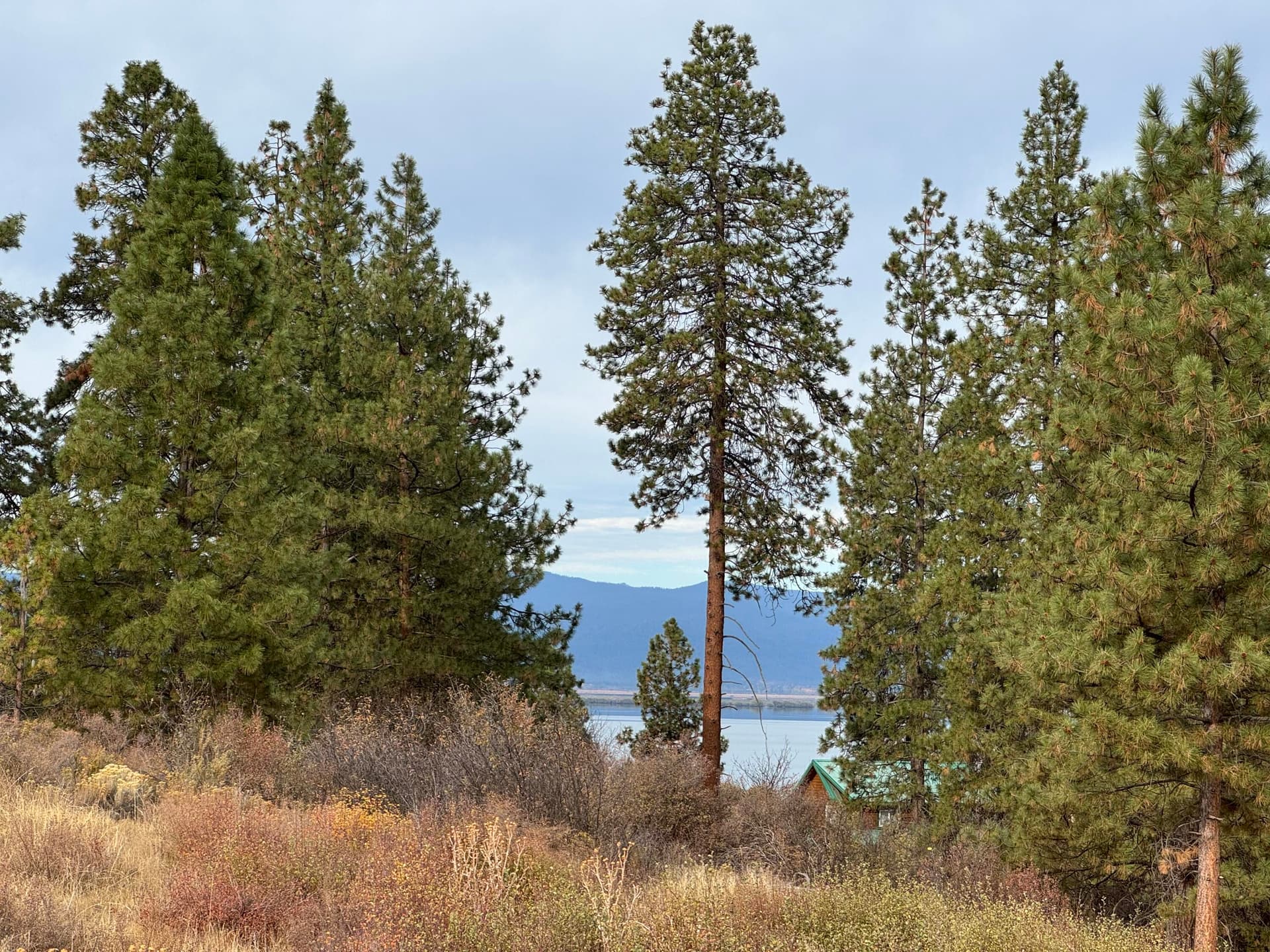 Agency Lake from Lot 24. Photo 1 of 4, 0 Oregon Shores Drive Unit 24, Chiloquin, OR 97624