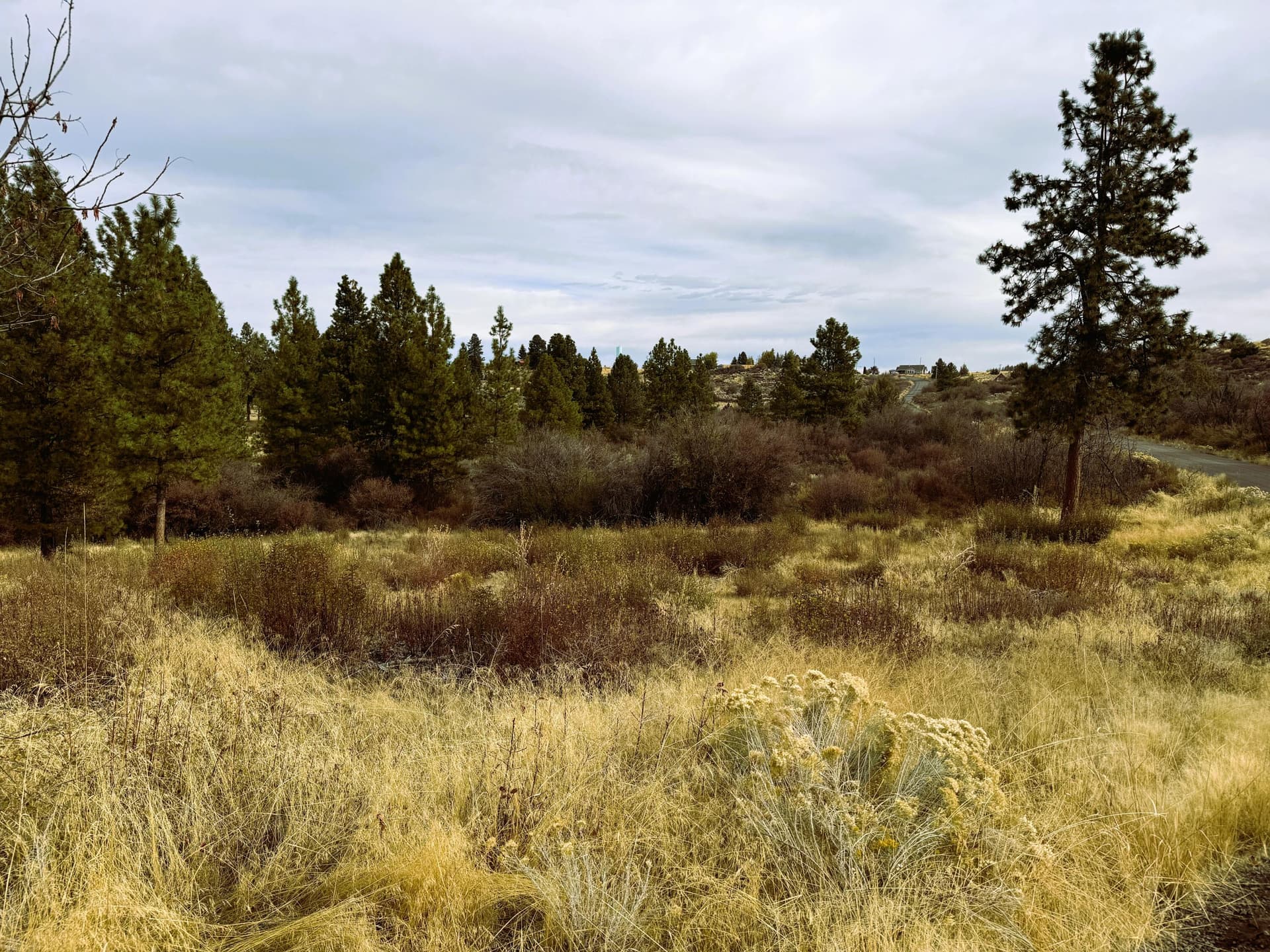 North Lot 24. Photo 2 of 4, 0 Oregon Shores Drive Unit 24, Chiloquin, OR 97624