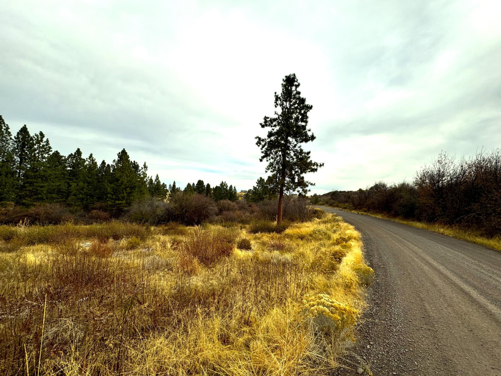 North, road surface. Photo 4 of 4, 0 Oregon Shores Drive Unit 24, Chiloquin, OR 97624