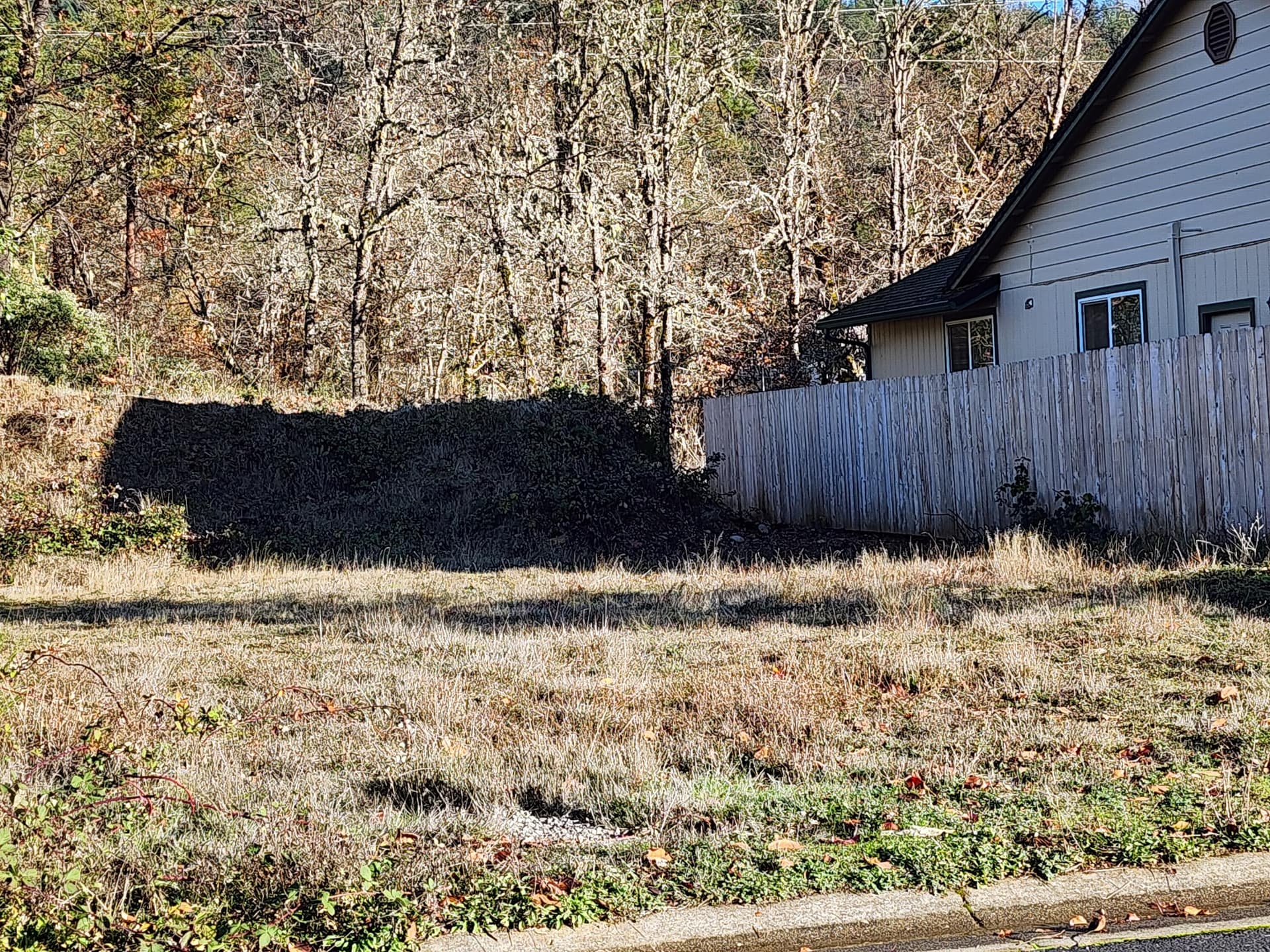 1. Photo 2 of 7, 221 Cedar Ridge Drive, Cave Junction, OR 97523