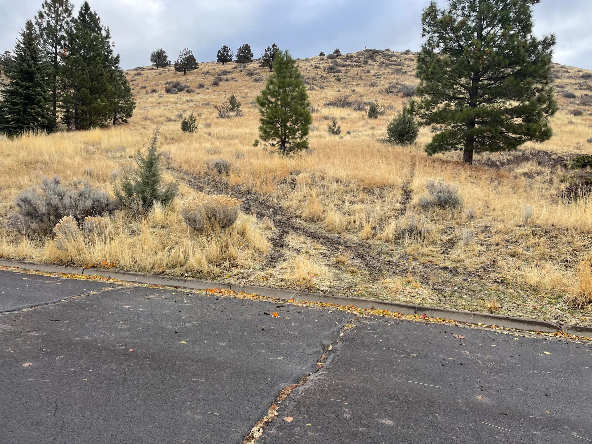 Pic 2, Fairmont St.. Photo 5 of 10, Fairmont Street Unit lot 1-12, Klamath Falls, OR 97601