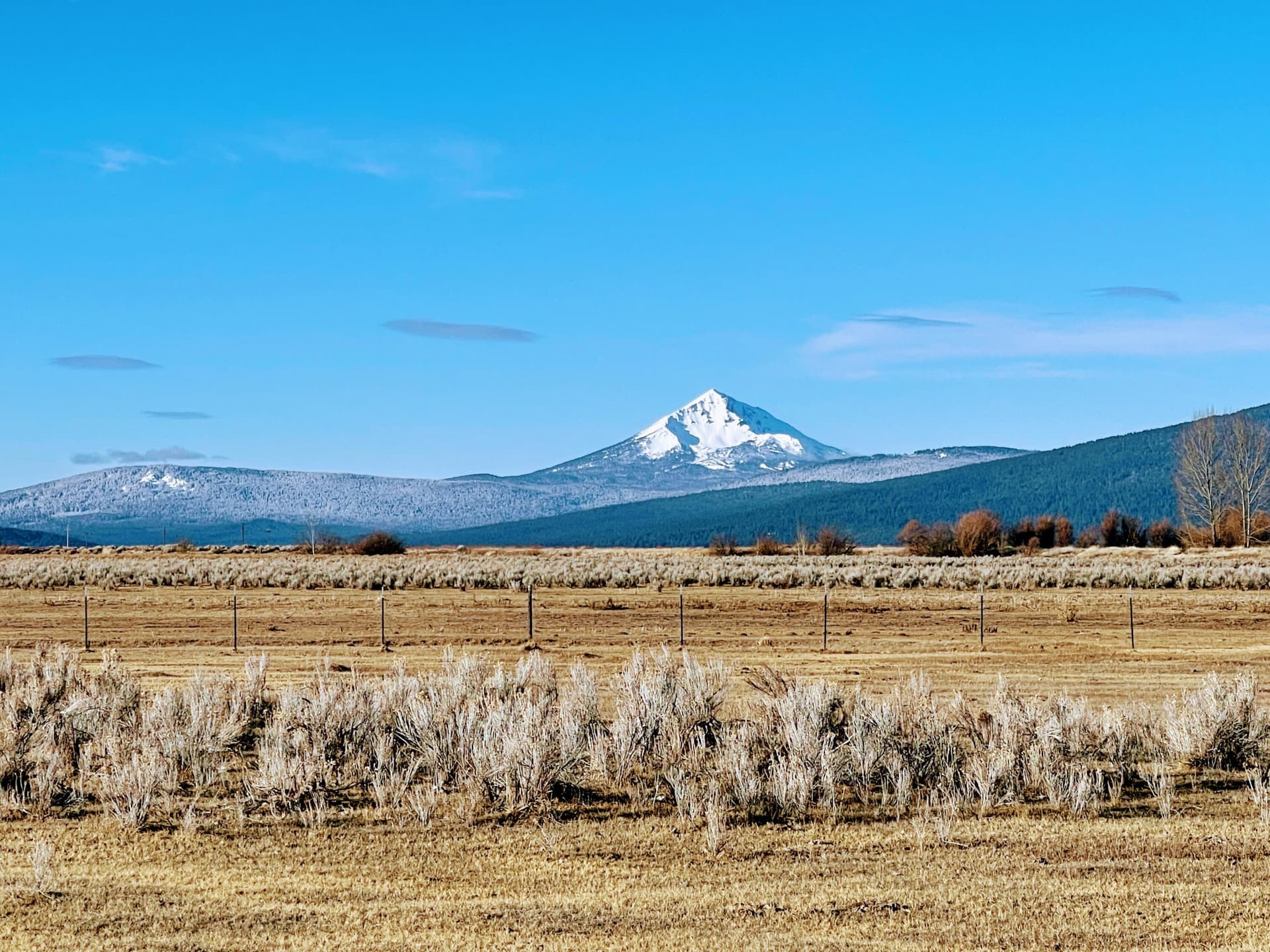 IMG_6790. Photo 1 of 14, 31130 Modoc Point Road, Chiloquin, OR 97624