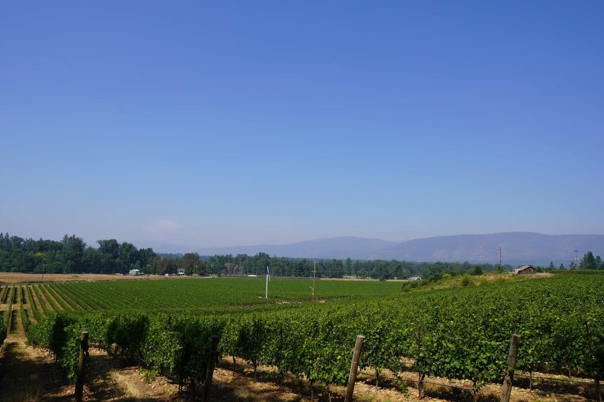Vines. Photo 1 of 25, 2789 Holland Loop Road, Cave Junction, OR 97523