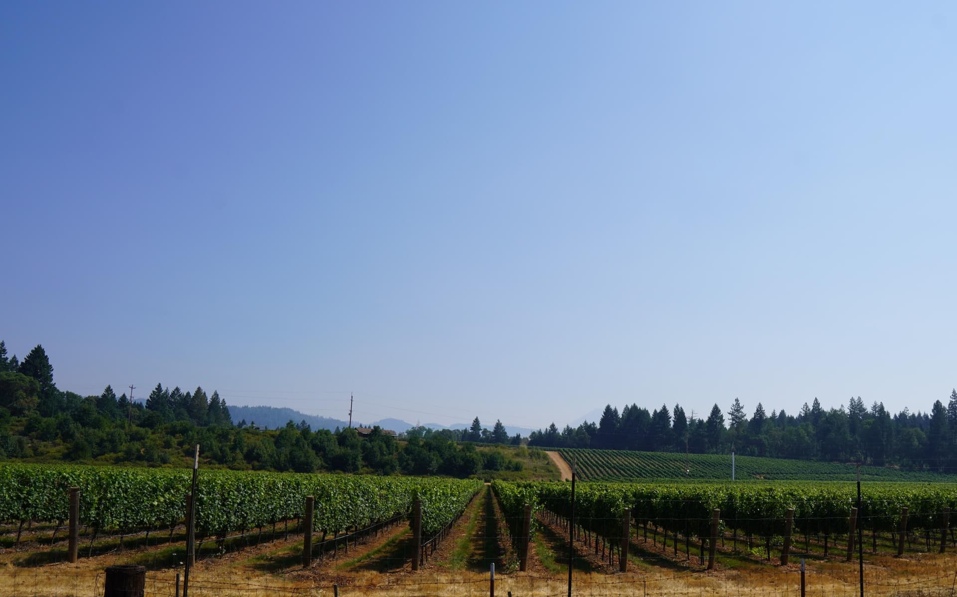 DSC03683. Photo 3 of 25, 2789 Holland Loop Road, Cave Junction, OR 97523