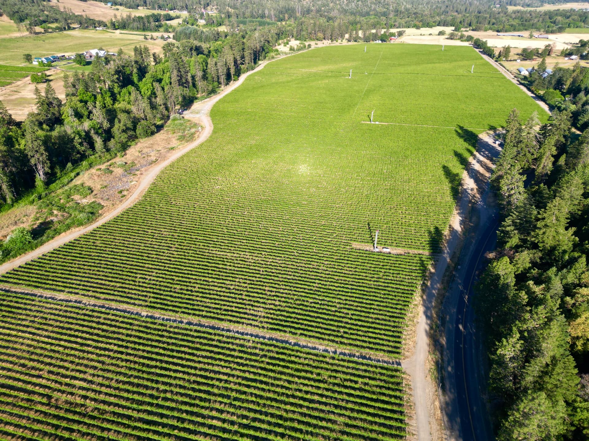 DJI_0236. Photo 2 of 21, 18485 N Applegate Road, Grants Pass, OR 97527