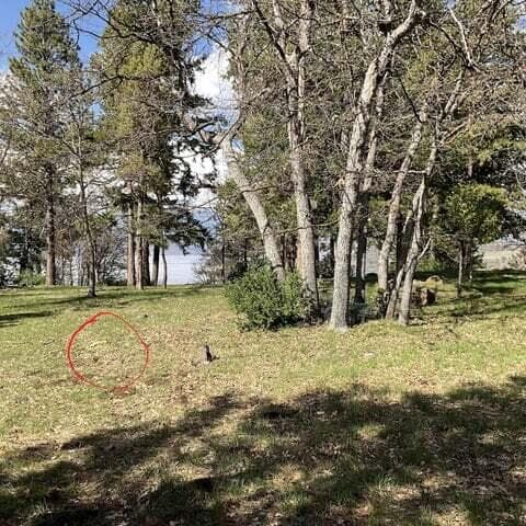 Beautiful Oak Trees. Photo 4 of 7, Finch Court Unit Lot 178, Klamath Falls, OR 97601