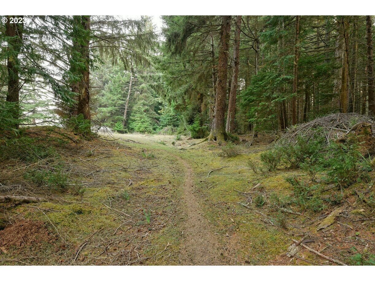 23221762-22. Photo 3 of 10, 47458 Hwy 101, Langlois, OR 97450