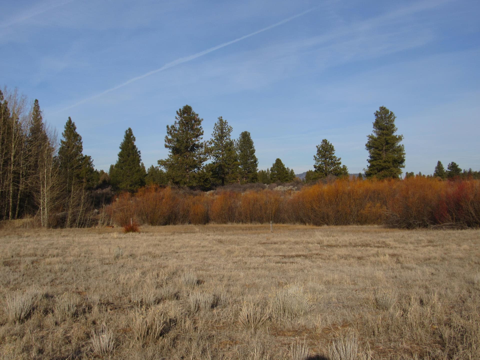 IMG_0202. Photo 2 of 8, 0 Sundance Drive Unit 9, Chiloquin, OR 97624