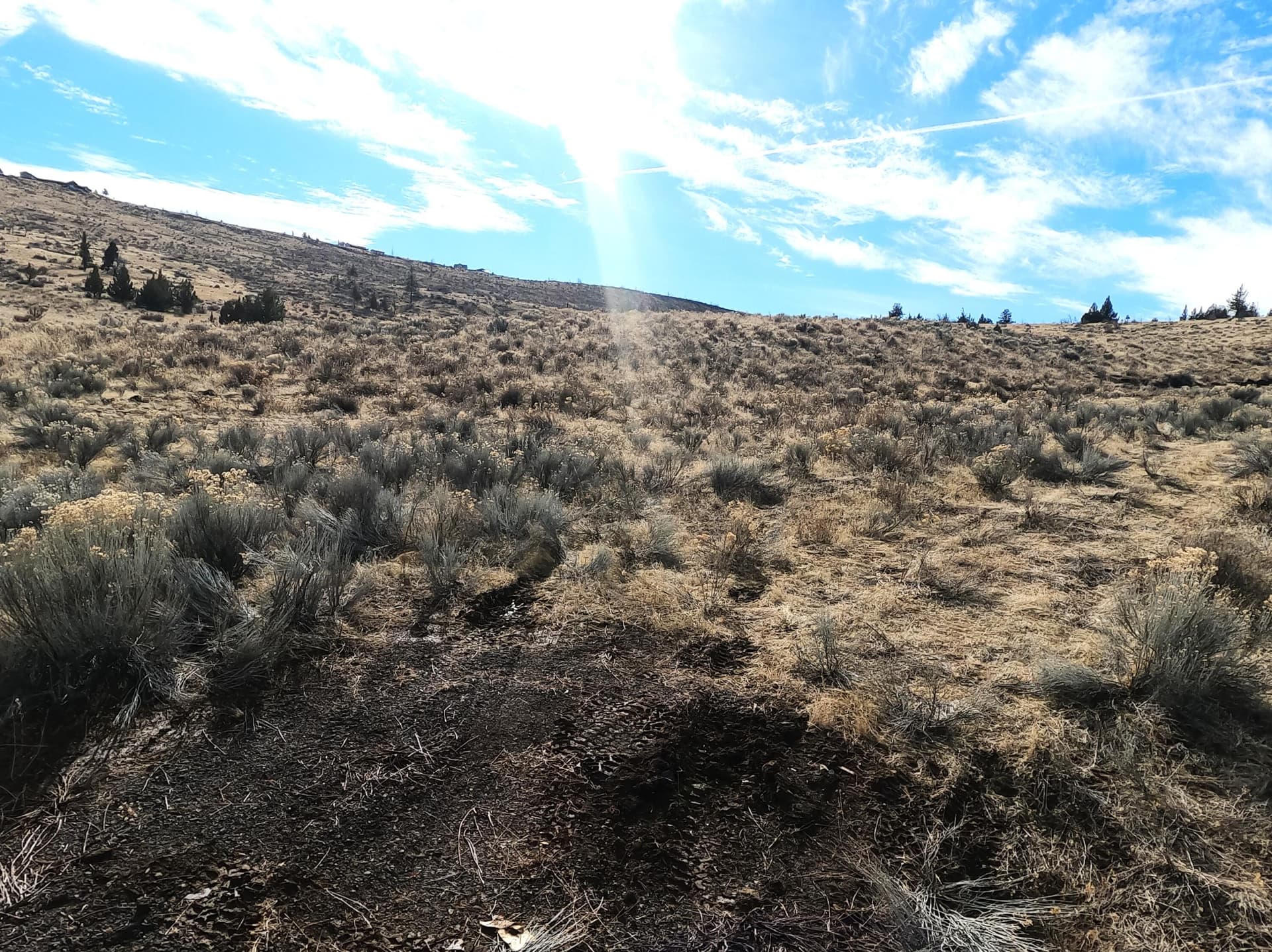 SpencerLot9Street. Photo 1 of 11, 9 SW Lakeview Drive Unit 900, Culver, OR 97734