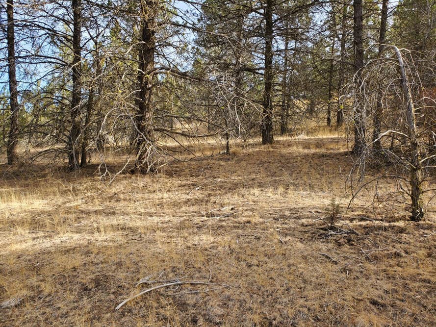 02. Photo 3 of 8, 5767 Engleman Spruce Way, Klamath Falls, OR 97601