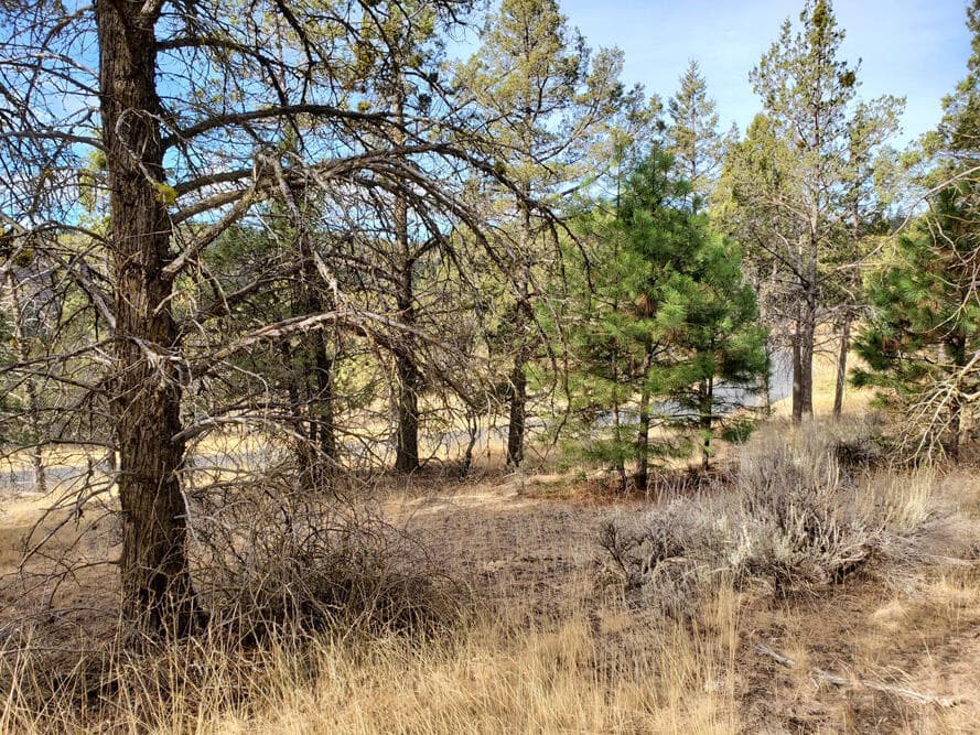 03. Photo 4 of 8, 5767 Engleman Spruce Way, Klamath Falls, OR 97601