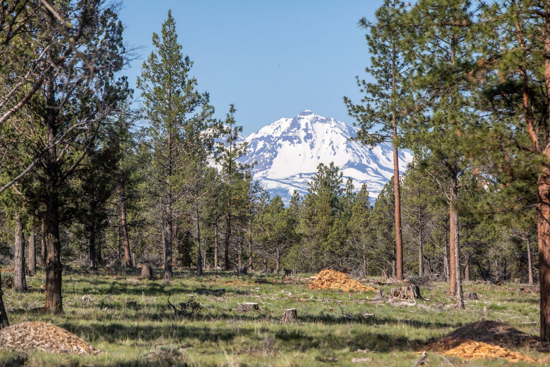 Building site view. Photo 1 of 23, 17400 Spur Drive, Sisters, OR 97759