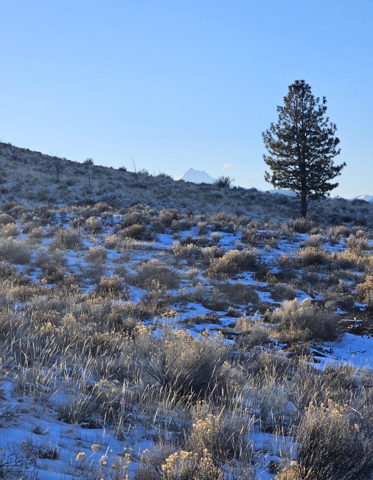 Lot9 LCE MtJeff. Photo 2 of 11, 9 SW Lakeview Drive Unit 900, Culver, OR 97734