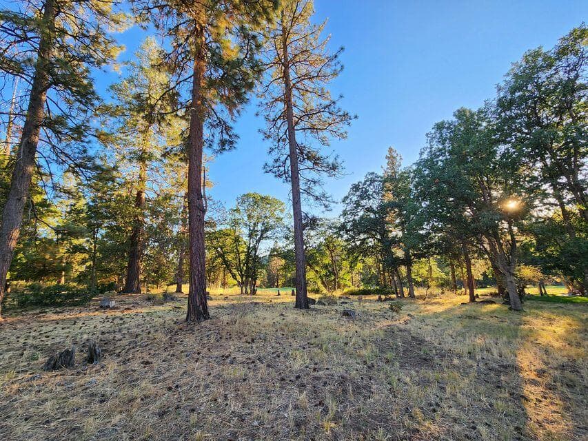 20230719185321584490000000-o. Photo 4 of 28, Kestrel Unit 153, Klamath Falls, OR 97601