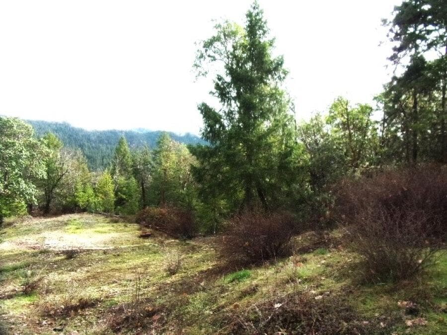 residential land. Photo 1 of 5, 18515 Ditch Creek Road, Rogue River, OR 97537