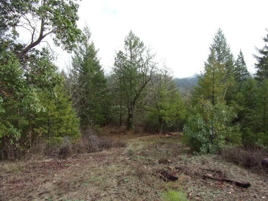 beautiful view 3. Photo 3 of 5, 18515 Ditch Creek Road, Rogue River, OR 97537