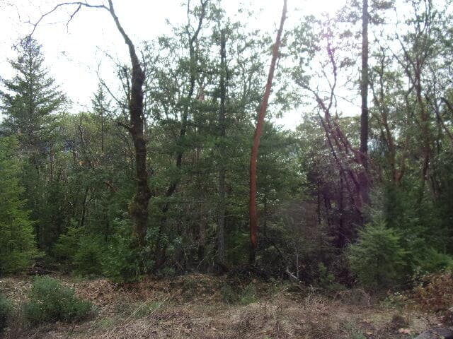 more wooded image. Photo 4 of 5, 18515 Ditch Creek Road, Rogue River, OR 97537