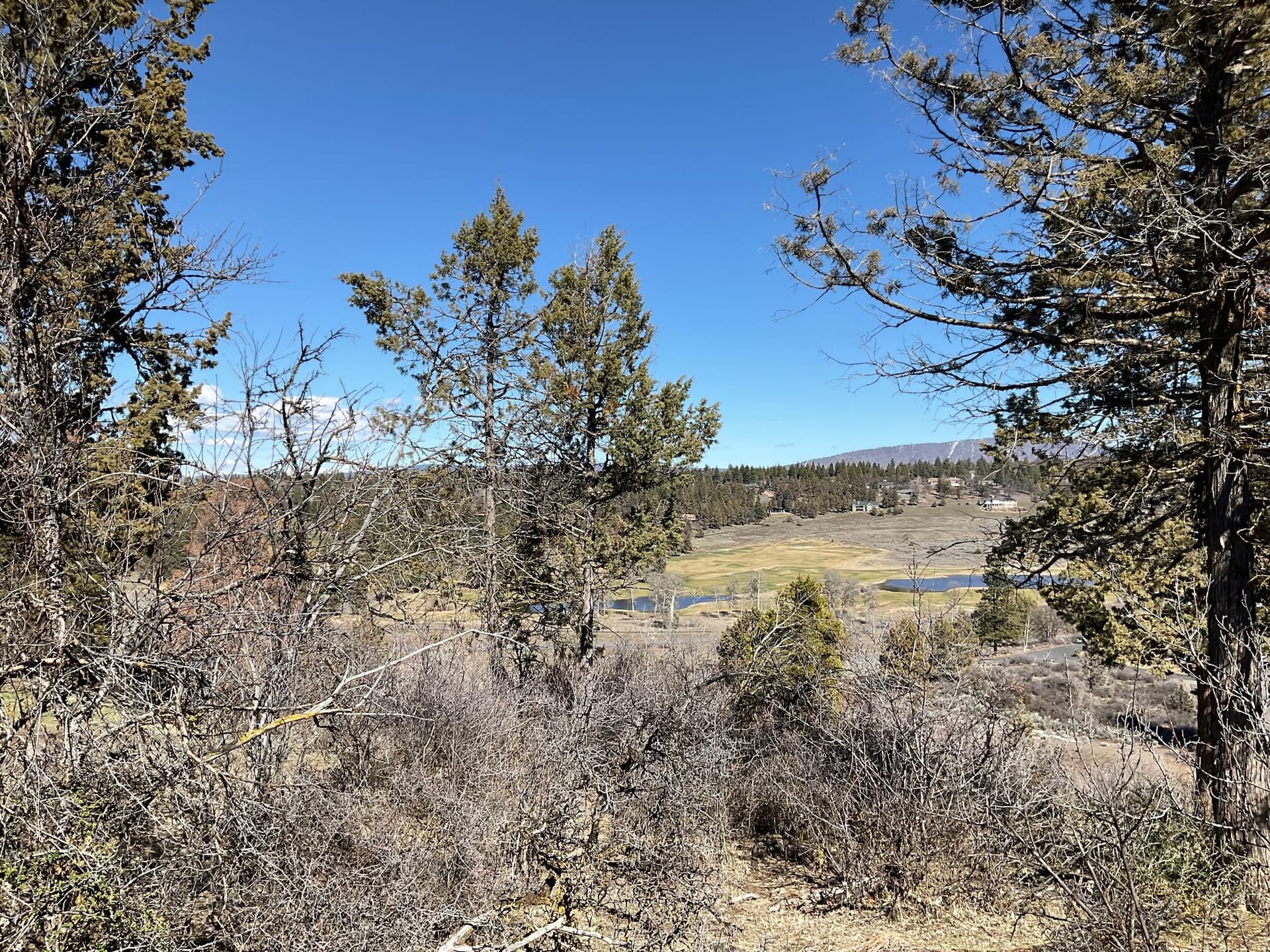 Awesome Views of the Resort. Photo 1 of 6, Crossbill Drive Unit Lot 975, Klamath Falls, OR 97601