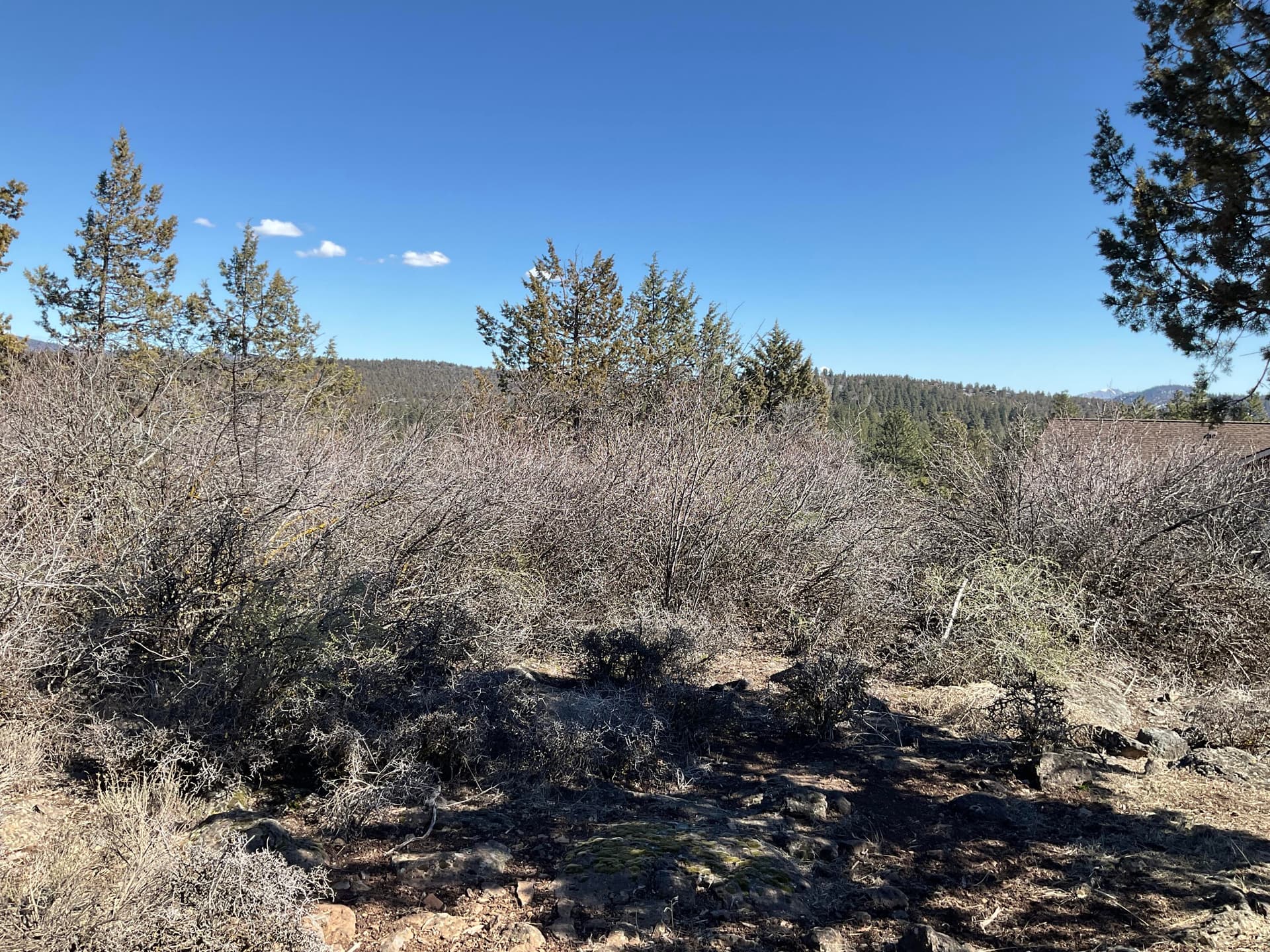 Panorama Views. Photo 4 of 6, Crossbill Drive Unit Lot 975, Klamath Falls, OR 97601