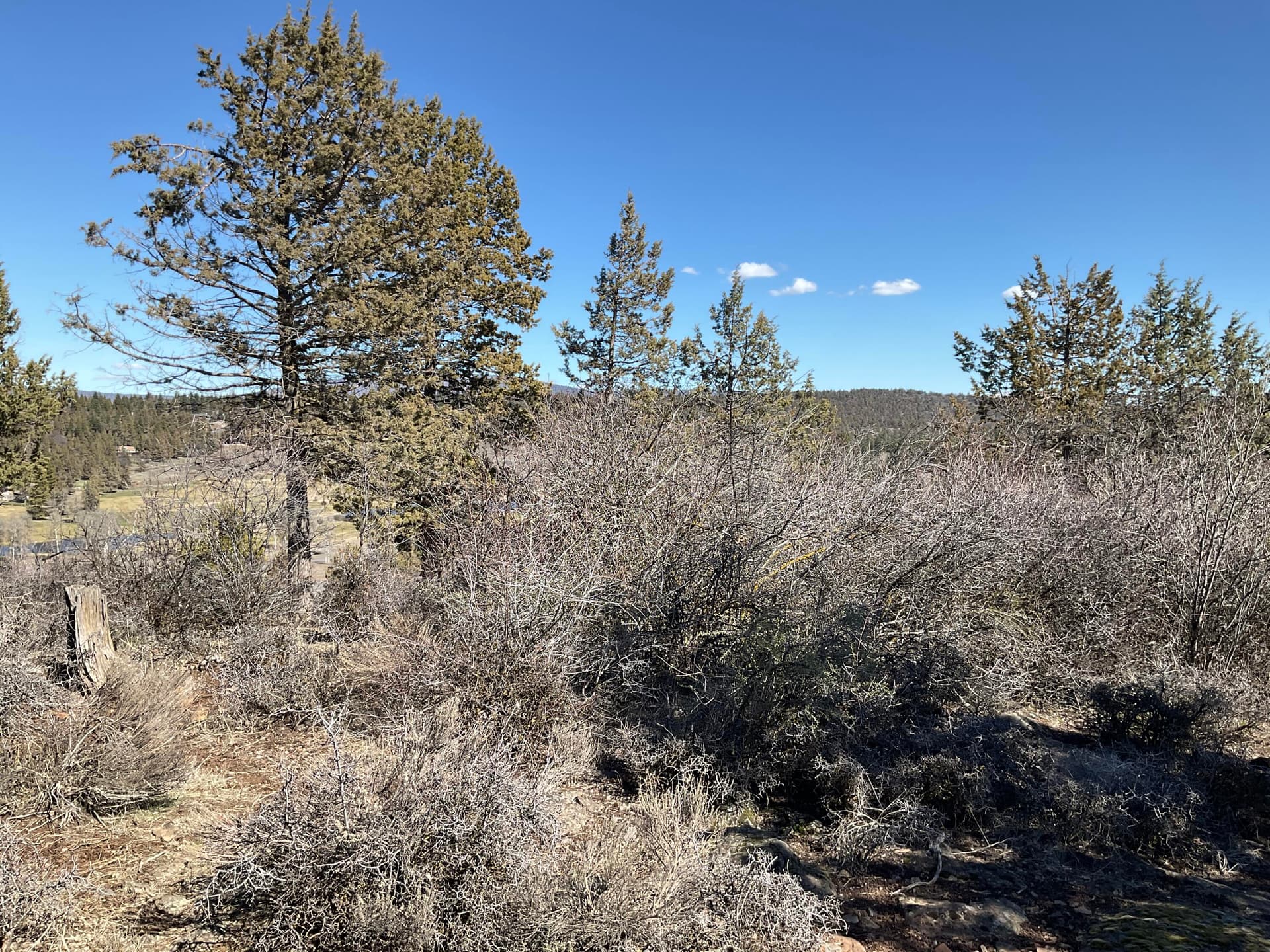 Build Your Dream Home. Photo 5 of 6, Crossbill Drive Unit Lot 975, Klamath Falls, OR 97601