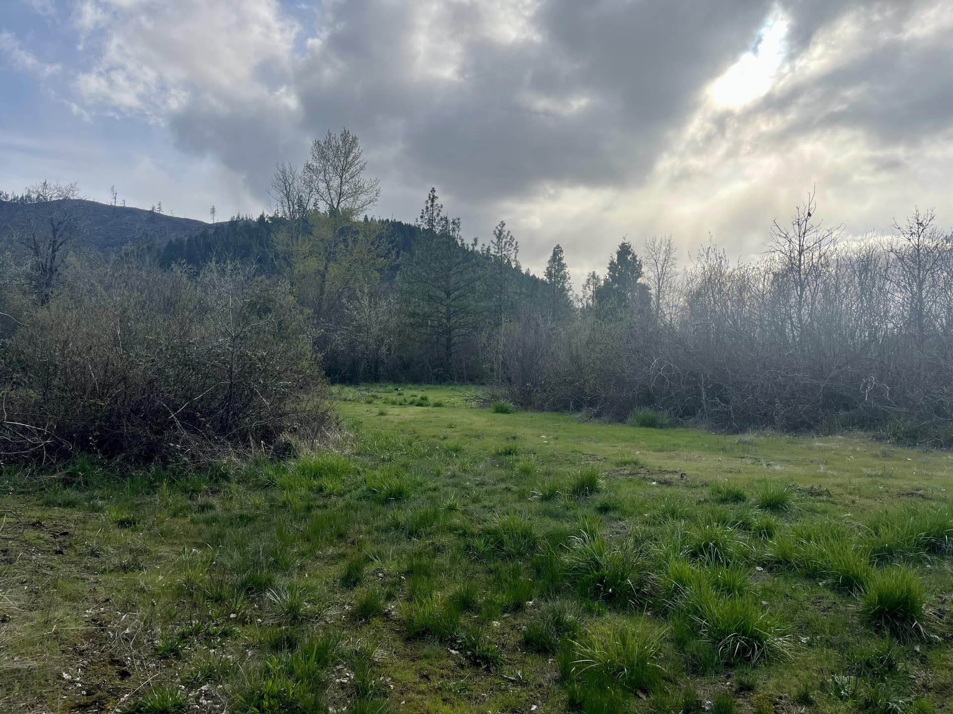 IMG_4498. Photo 2 of 19, Lake Shore Drive, Selma, OR 97538